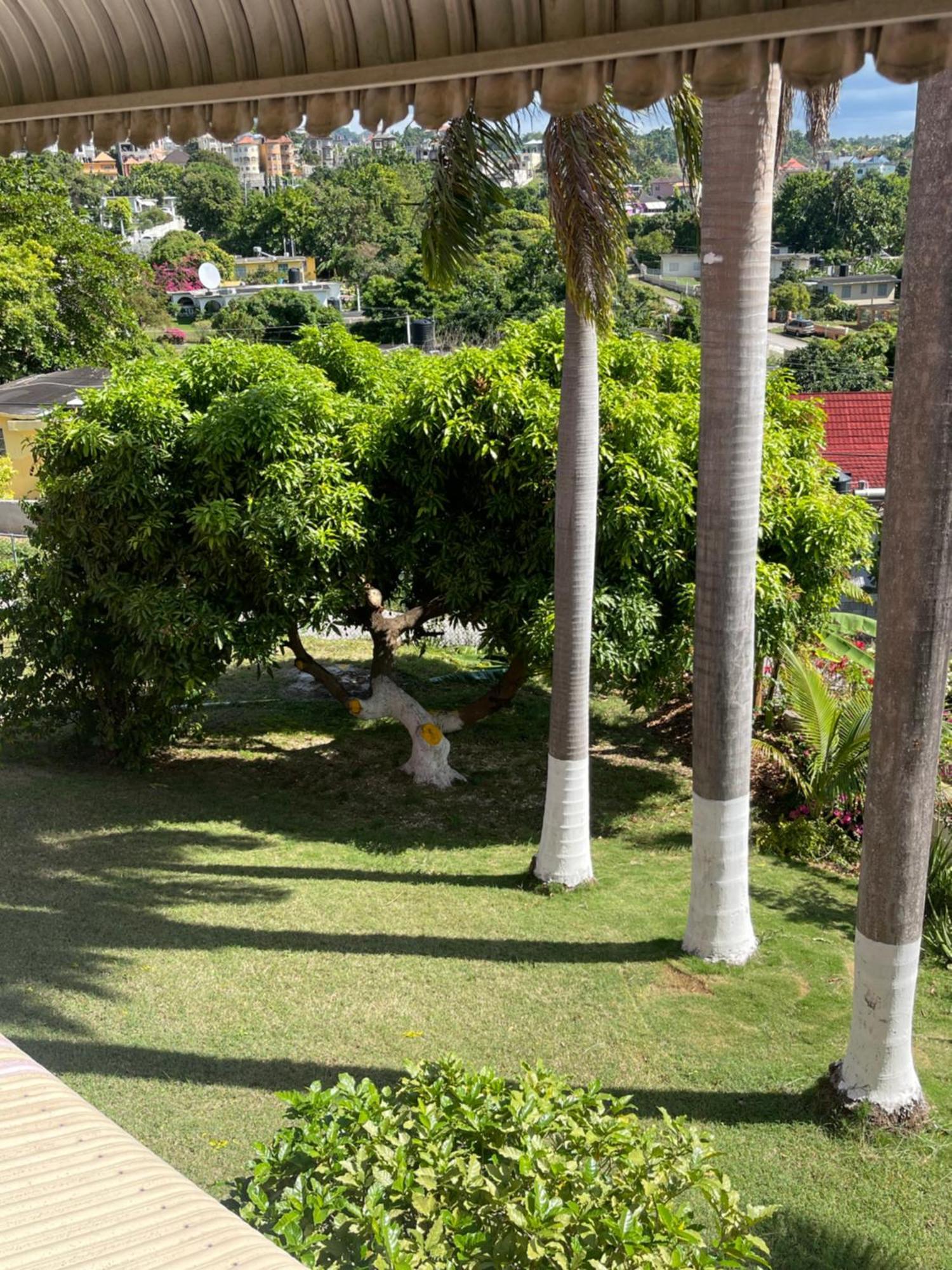 Three Palm Villa Montego Bay Exterior photo